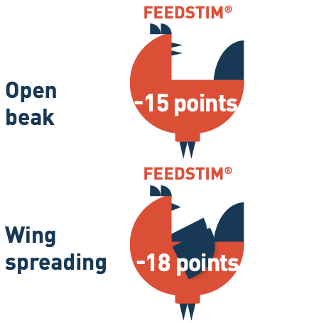 Improvement of behavioral indicators with ThermoPoultry
